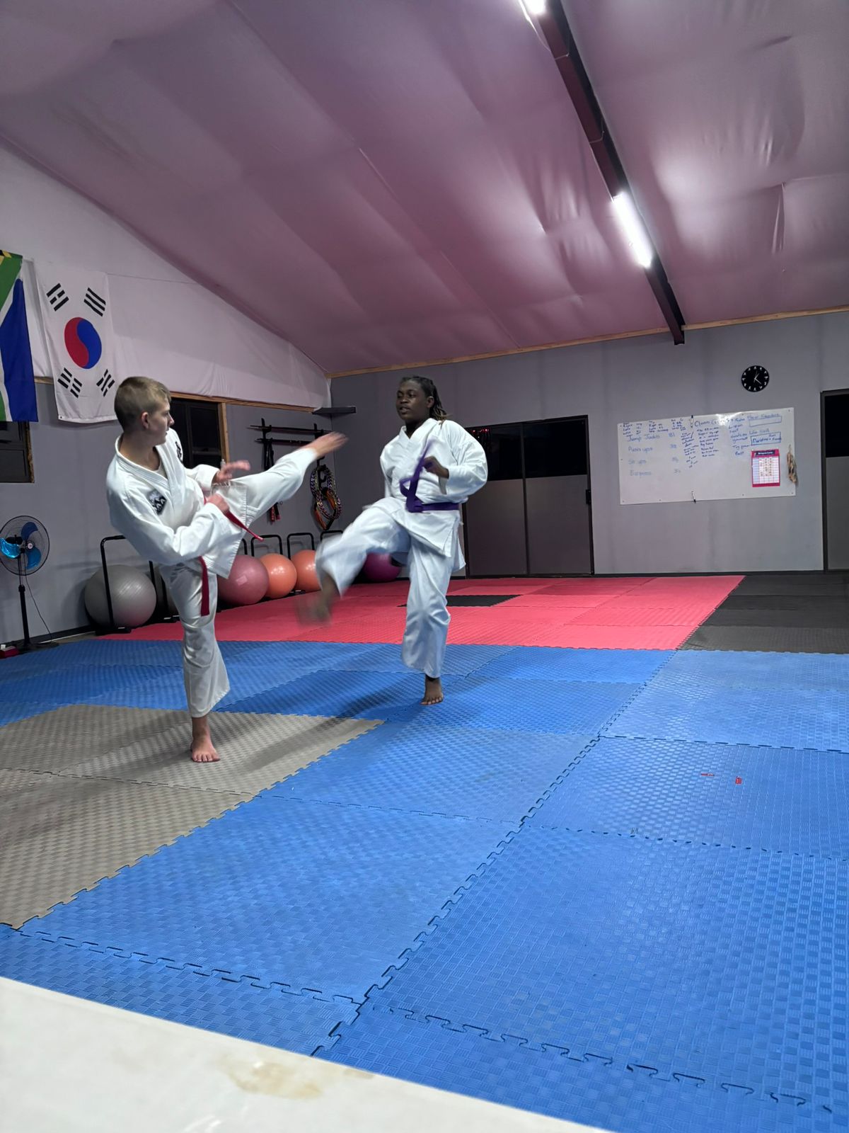 Teen students practicing kicks